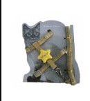 ARNES GATO O ESTRELLA L (CALABAZA)