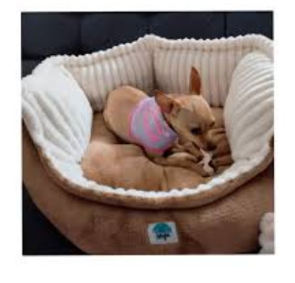 CAMA DE LUJO TALLA ( L ) 