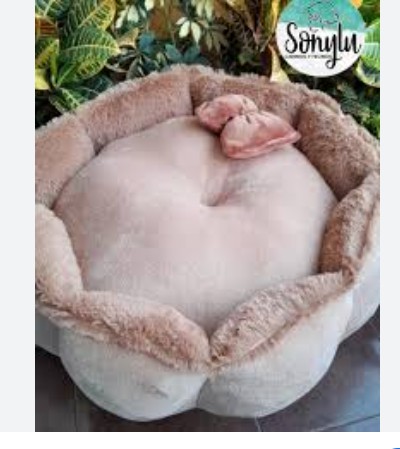 CAMA REDONDA TALLA ( S )