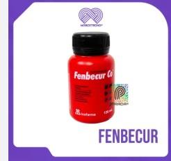 FENBECUR X 120ML 