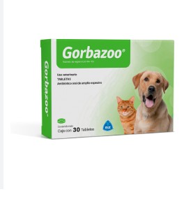 CEFAMAX X 250MG BLISTER X 10 UNID