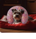 ALMOHADA PARA MASCOTA