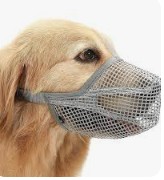 BOZAL CON MALLA ( M)