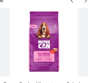 NUTRECAN SEÑIOR SALMON Y QUESO 16KG
