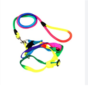 ARNES Y CORREA ARCOIRIS TALLA L