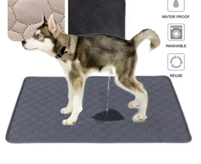 TAPETES ABSORBENTES PARA PERROS 15UNDS