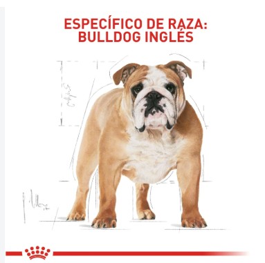 BHN BULLDOG INGLES AD 7.72