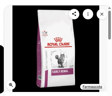 VHN FELINE EARLY RENAL 1.5KG