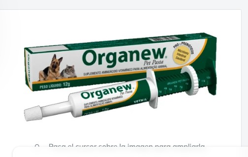 ORGANEW PASTA 32GR