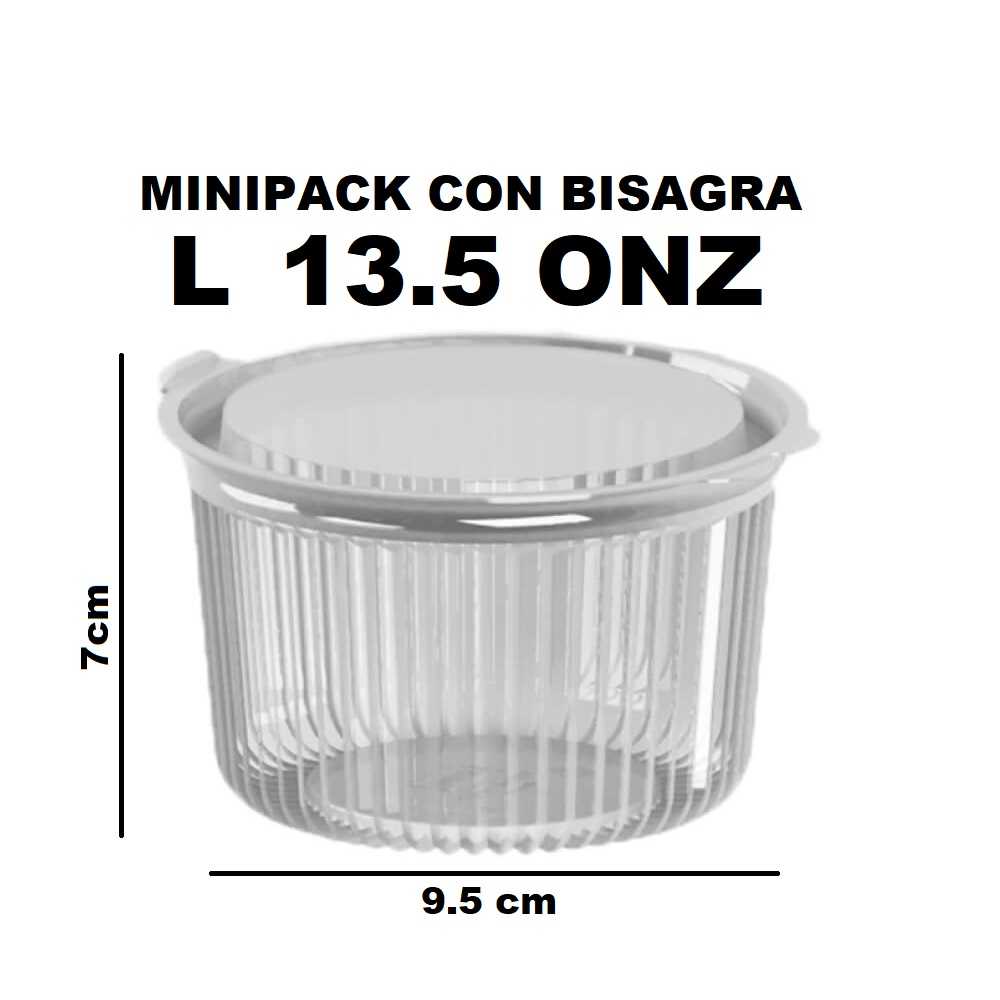 Contenedor MiniPack con Bisagra L