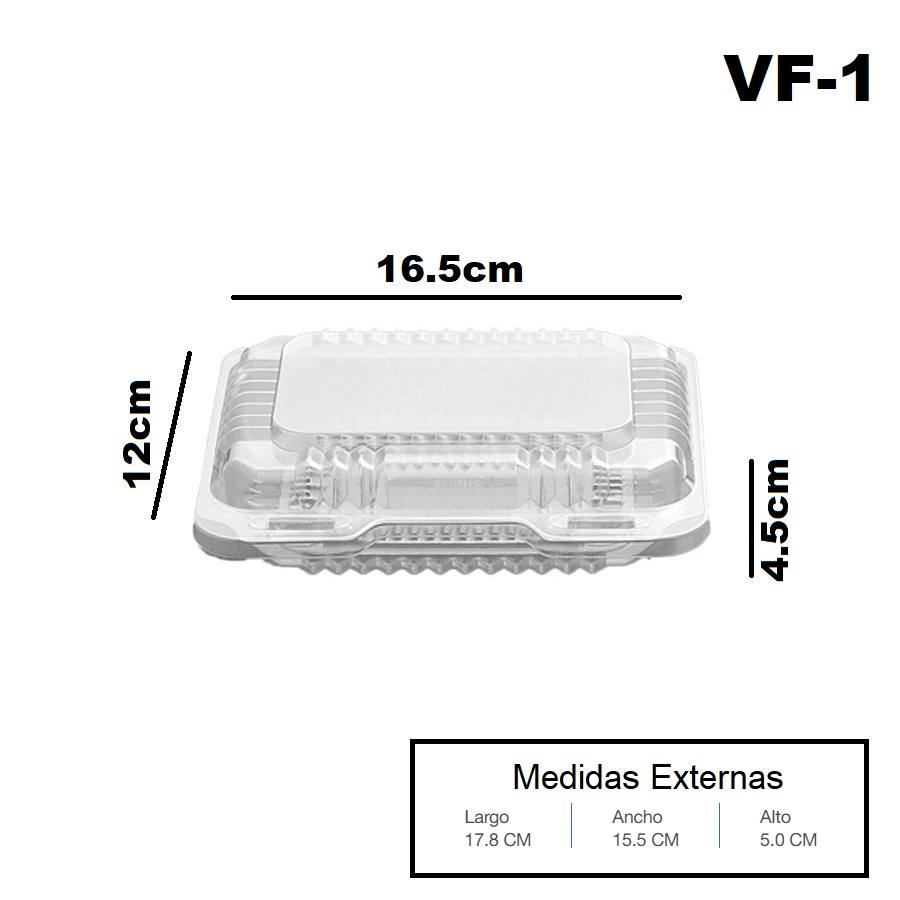 VisualPack VF-1 D720VF100