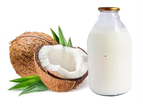 Leche coco 500ml (X)