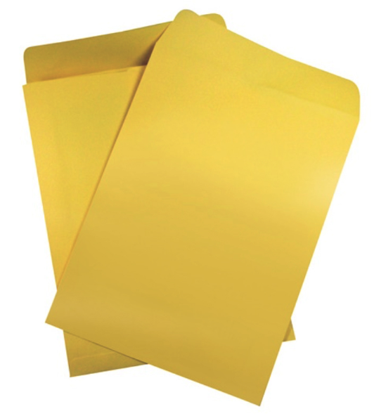 SOBRE MANILA NORMA OFICIO ECOLOGICO 25