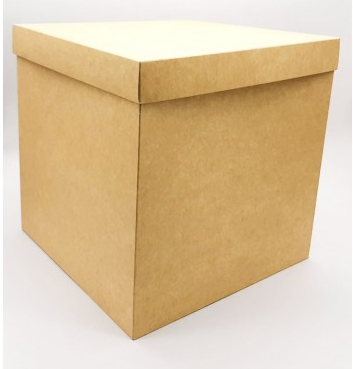 CAJA CUBO 20X20 GRANDE