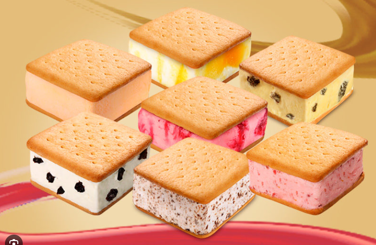 GALLETA SABOR SURTIDO