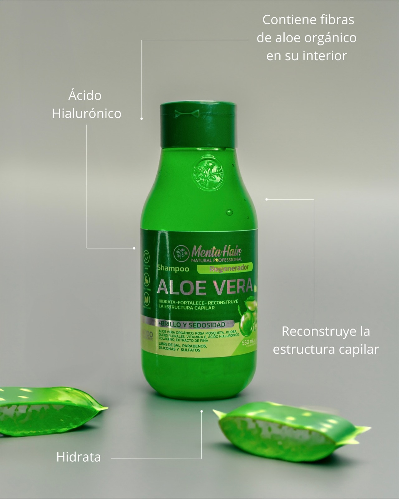SHAMPOO ALOE VERA X550ML MENTA HAIR