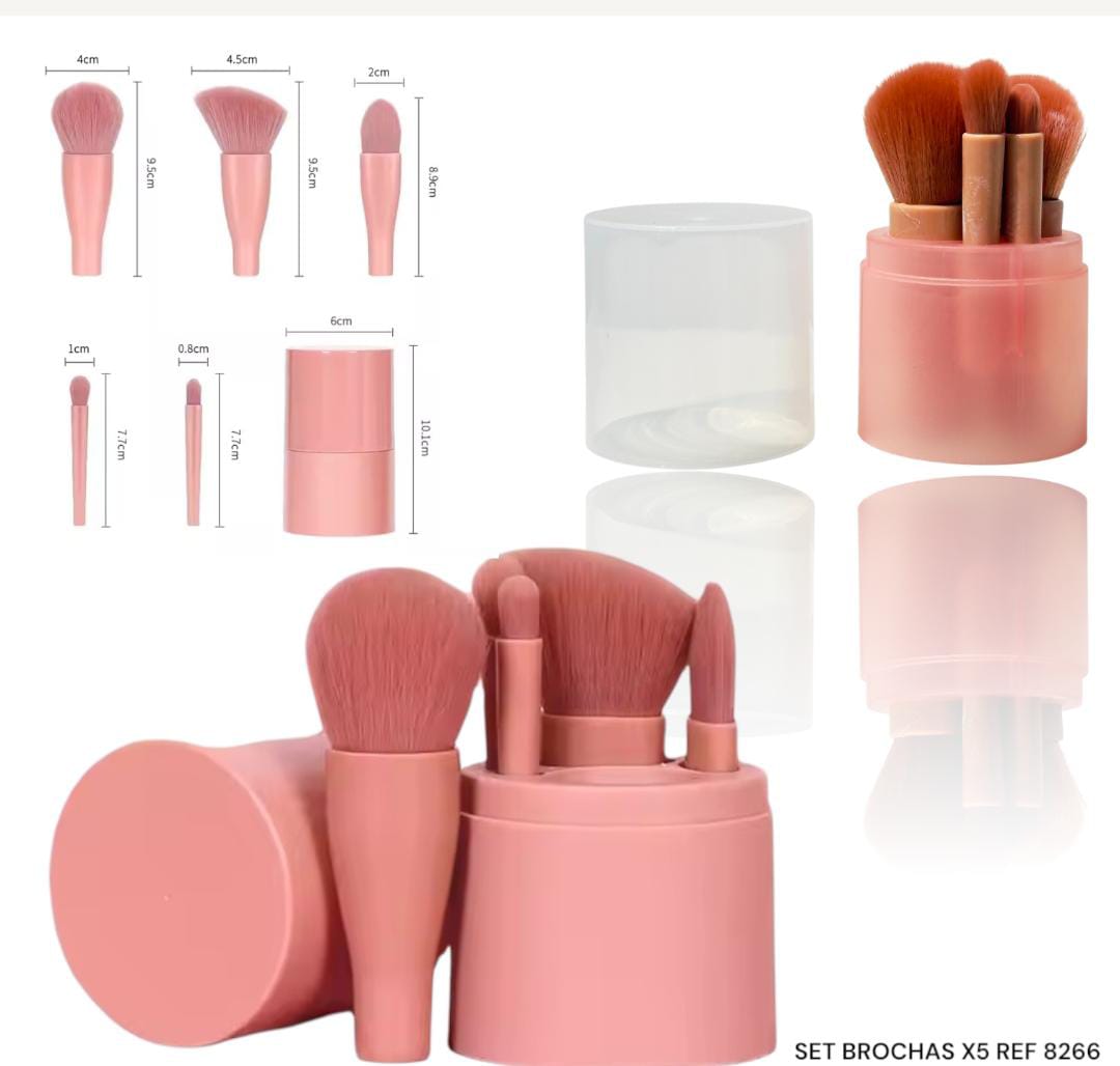 SET DE BROCHAS MINI C8266