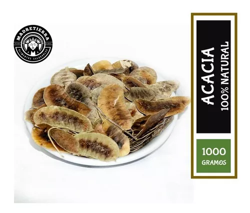 HOJA DE ACACIA 