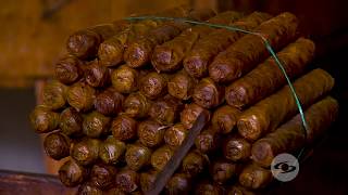 TABACOS PEQUEÑOS POR PAQUETE