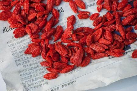 BAYAS  DE GOJI