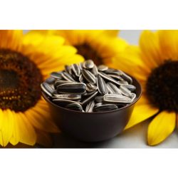 GIRASOL SEMILLA CON CASCARA