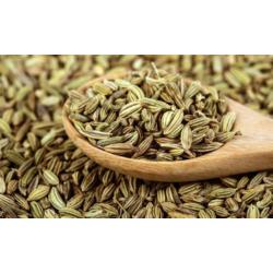 SEMILLAS DE HINOJO