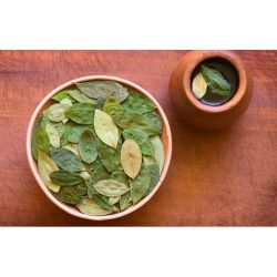 HOJA DE COCA