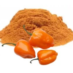 CHILE HABANERO POLVO