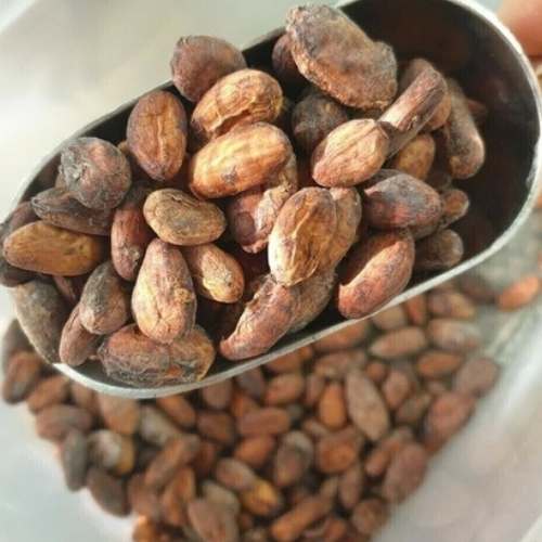 CACAO SIN TOSTAR DEL LLANO