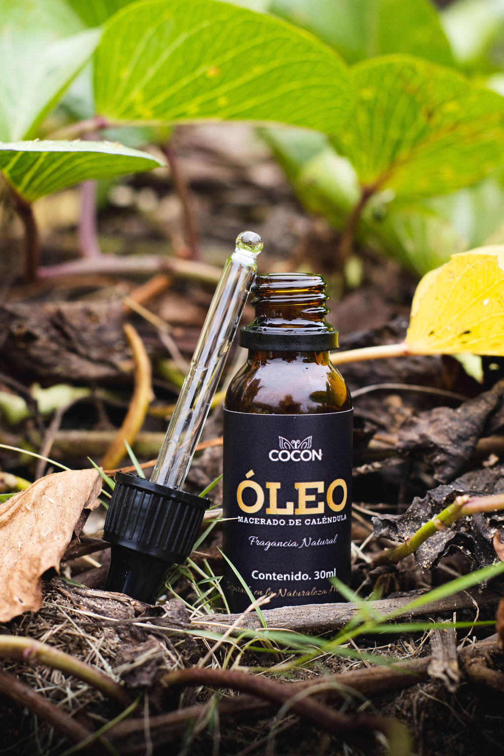 Óleo Macerado de Caléndula 30ml