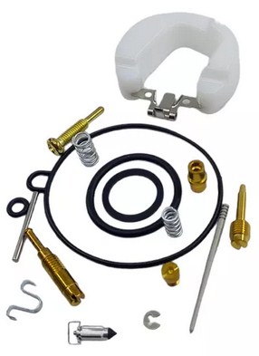 KIT CARBURADOR AKT 110 TW