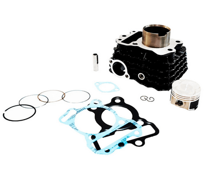 CILINDRO COMPLETO DISC100/BOXERBM100 GAVIRIA