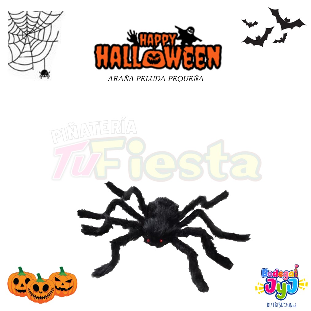 ARAÑA PELUDA PEQUEÑA