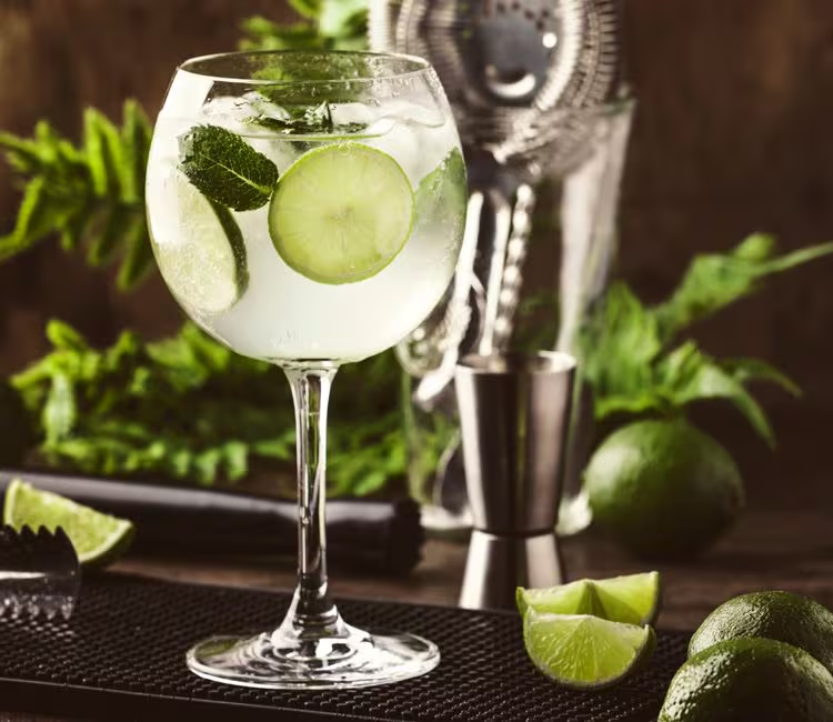 GIN TONIC HIERBABUENA