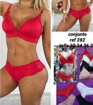 Conjunto 282 sin varilla copa prehormada