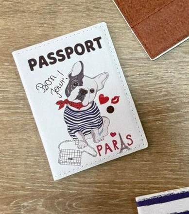 PORTAPASAPORTE PARIS 7CM061