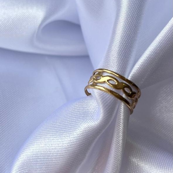 Anillos 1