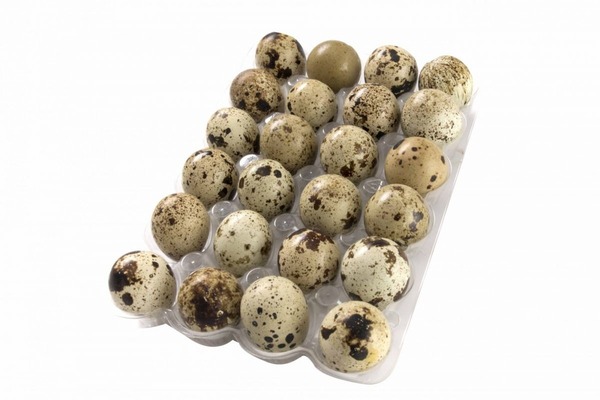 Adicional de huevo de codorniz