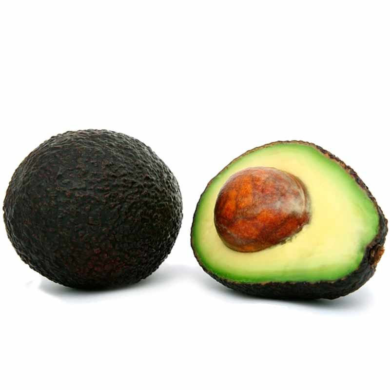 Aguacate mediano
