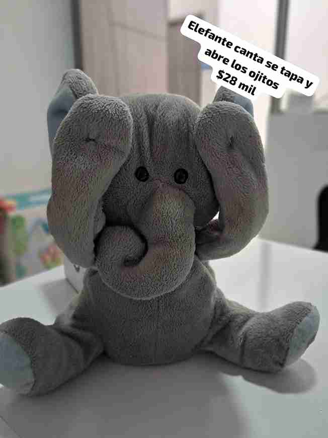 ELEFANTE TAPA LOS OJOS