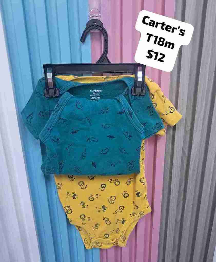 SET BODY CARTERS 18M