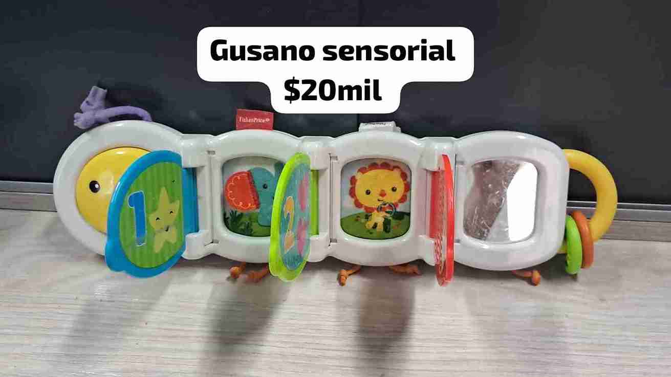 GUSANOI SENSORIAL