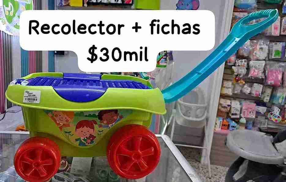 RECOLECTOR DE FICHAS