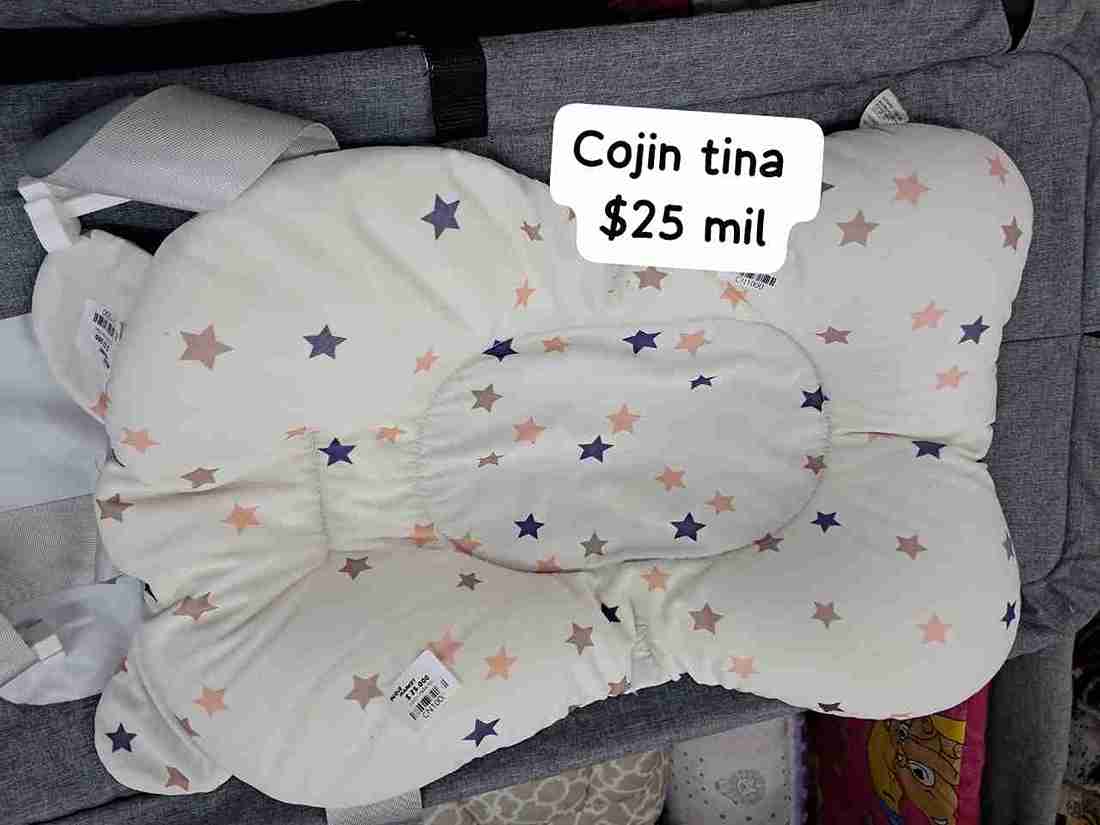 COJIN PARA TINA