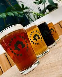 Eureka - Neipa 500ml