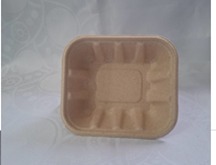 BANDEJA DE CHAMPIÑONES x  250  GRAMOS  ECOLOGICA  PAQUETE X 20 UNIDADES