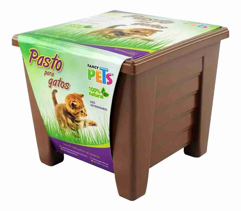 PASTO FANCY PETS PARA GATO
