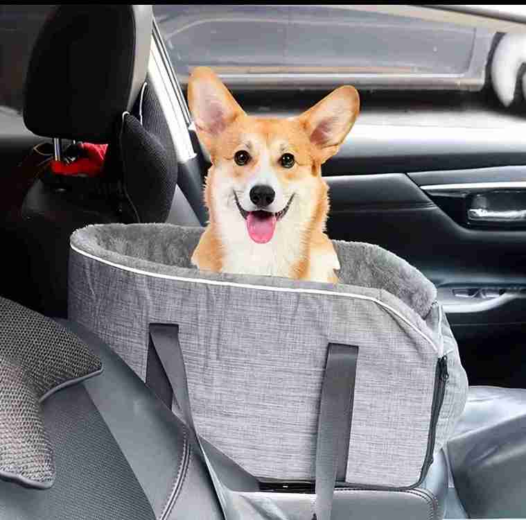 TRASPORTADORA PARA AUTO