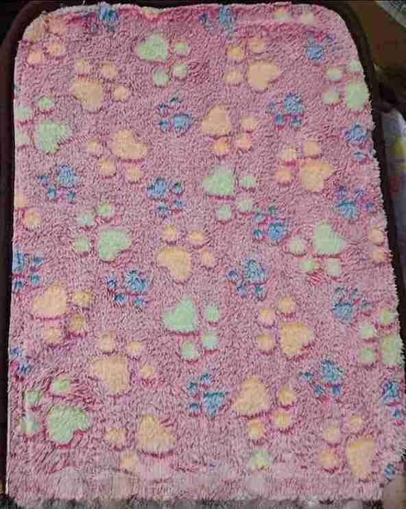 TAPETE PEQUEÑO HUELLITAS DE COLORES