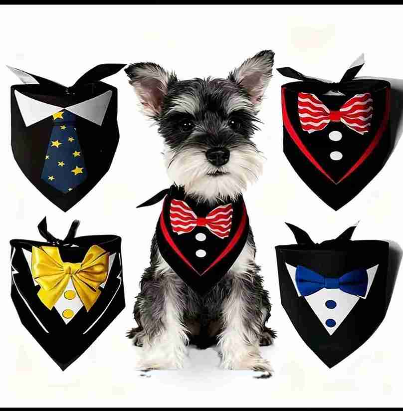 PALIACATE PARA FIESTAS